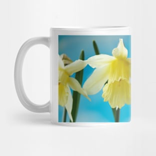 Narcissus  &#39;W.P. Milner&#39;   Division 1  Trumpet  Daffodil Mug